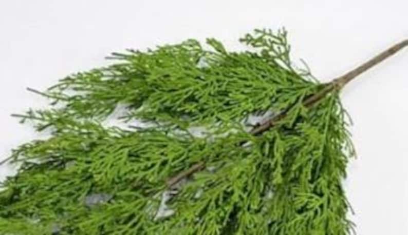 Cedar Christmas pick, 17" real touch winter spray, artificial cedar greenery, great for floral arrangements, wreath embellishment